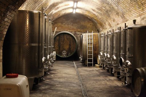  Nachhaltig, einzigartig und familiengeführt: Das Segment feiner
Craftwines abseits der großen Weinmaschinerie
