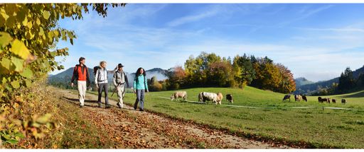  Bei einer Wanderung durch das herbstliche Mühlviertel die Region
entdecken.