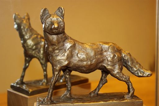  Bio-Fuchs Trophäe