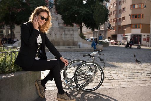 Vorschau Bild von Elektro-Faltrad