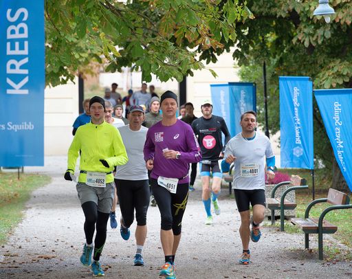 Vorschau Bild von Krebsforschungslauf 2016