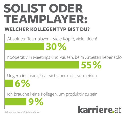 Solist oder Teamplayer?; karriere.at Online-Umfrage
unter Arbeitnehmern