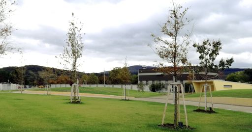 Vorschau Bild von Grünanlage Anningerpark