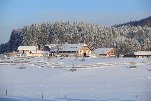  Ansicht Gut Aiderbichl Henndorf im Winter