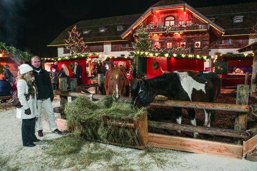 Vorschau Bild von Weihnachtsmarkt auf Gut Aiderbichl Henndorf