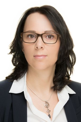  conos Fokusgruppe