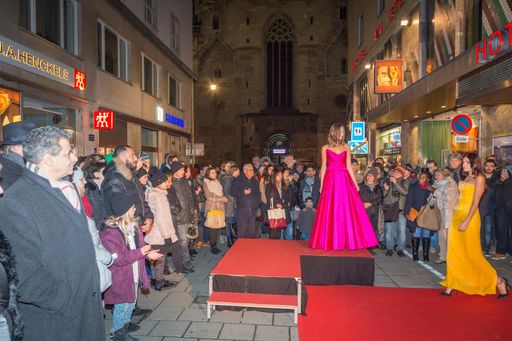 Vorschau Bild von Das zahlreich erschienene Publikum war begeistert und in der
Jasomirgottstrasse und am Stephansplatz waren auch die letzten
Plätze besetzt.