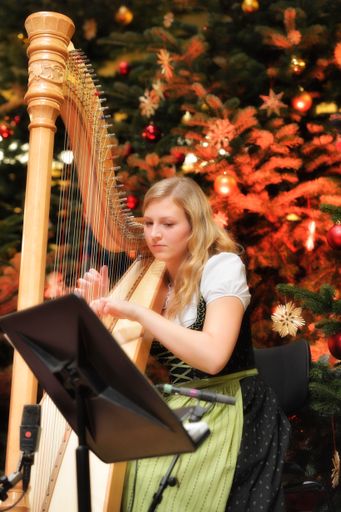 Vorschau Bild von Stimmungsvolle Instrumental- und Vokalmusik beim
Niederösterreichischen Adventsingen.