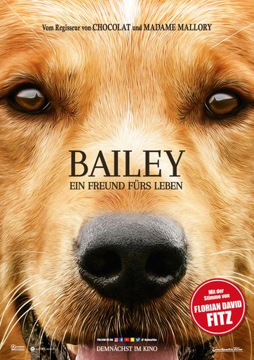 Vorschau Bild von Bailey - Ein Freund fürs Leben Plakat