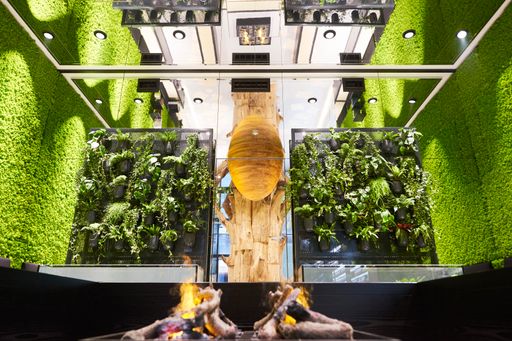 Vorschau Bild von Lebende Wände: Grüner Biogena Flagshipstore in der
Wiener Innenstadt