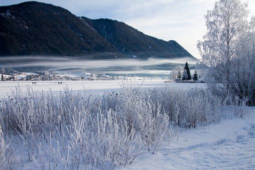 Vorschau Bild von Nebelschwaden ziehen früh morgens über den See
