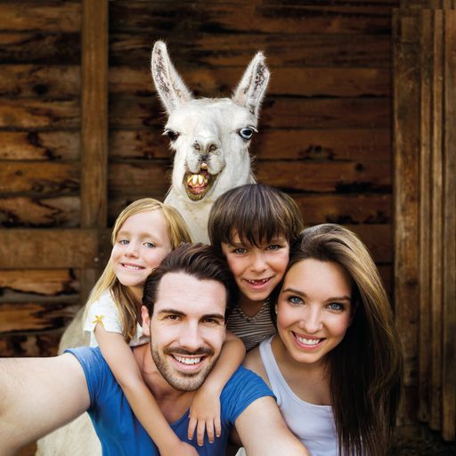 Vorschau Bild von Die ganze Steiermark mit einer Karte. Die
Steiermark Card startet mit 134 Ausflugszielen in die Saison 2017.
Eintritt frei heißt es vom 1. April bis 31. Oktober.
Steiermark-Cards sind ab sofort erhältlich! Infos auf
www.steiermark-card.net