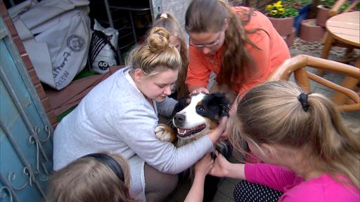 Vorschau Bild von "Die Wollnys - Eine schrecklich große Familie!":
Silvia möchte, dass sich die Mädchen in Zukunft mehr um Familienhund
"Littlefoot" kümmern Sendetermin, 07.12.2016 um 20:15 Uhr bei RTL II
- Recht zum Abdruck/Darstellung zeitlich/sachlich beschränkt auf die
Bewerbung der Sendung