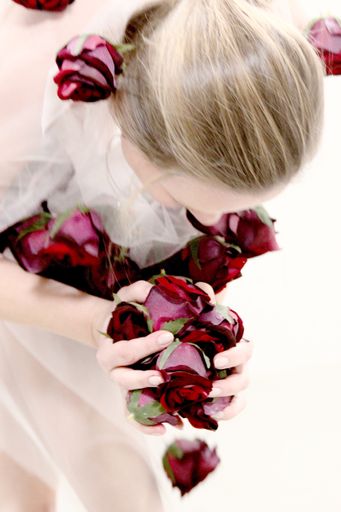 Vorschau Bild von Foto ROSE DRESS 1