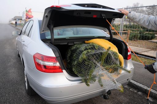 Vorschau Bild von So transportieren Sie den Weihnachtsbaum sicher
nach Hause. Die Verwendung dieses Bildes ist für redaktionelle
Zwecke honorarfrei. Veröffentlichung bitte unter Quellenangabe:
"obs/TÜV SÜD AG"