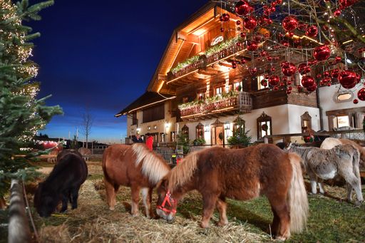 Vorschau Bild von Festlich geschmückte Haupthaus von Gut Aiderbichl
Henndorf mit tierischen Bewohnern