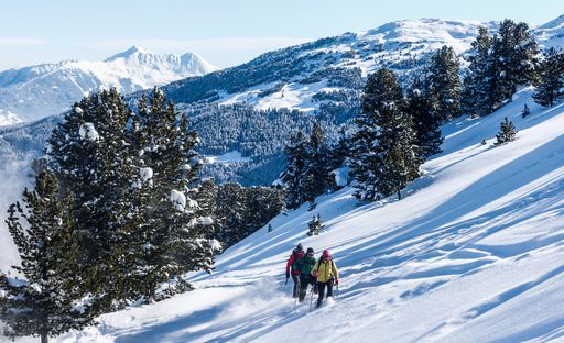  Schneeschuhwandern in der Ferienregion
Hall-Wattens in Tirol