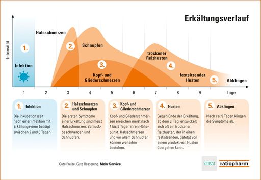 Interessantes zum Verlauf einer Erkältung, zur
Unterscheidung zwischen Grippe und grippalem Infekt und welche
Maßnahmen man ergreifen kann.