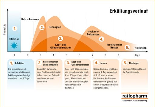Vorschau Bild von Interessantes zum Verlauf einer Erkältung, zur
Unterscheidung zwischen Grippe und grippalem Infekt und welche
Maßnahmen man ergreifen kann.
