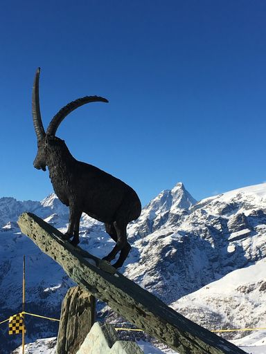 Vorschau Bild von Die italienischen & französischen Alpen ...Ein
Wechselspiel aus Topografie, Infrastruktur & Servicequalität