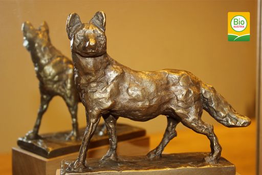 Vorschau Bild von Gewinner-Trophäe Bio-Fuchs