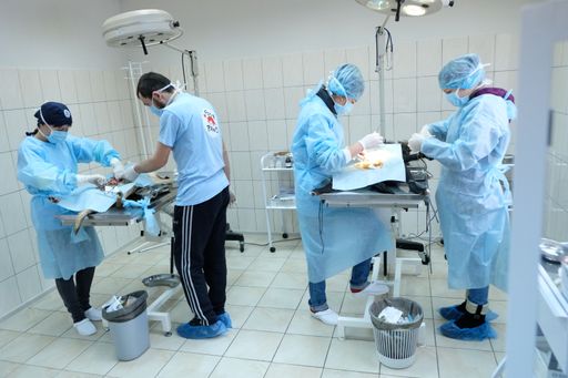 VIER PFOTEN Tierärzte in der neuen Tierklinik in
der ukrainischen Stadt Zhytomyr
