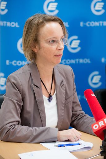 Vorschau Bild von Energiearme Haushalte leben signifikant häufiger in älteren
Wohngebäuden als nicht-energiearme. Im Bild: Studienautorin
Alexandra Wegscheider-Pichler, von Statistik Austria.