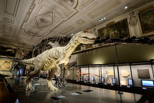 Dinosauriersaal NHM Wien
