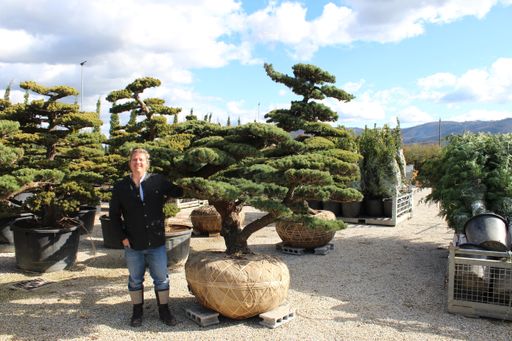  Luxurytrees.com-Besitzer Thomas Ortner
