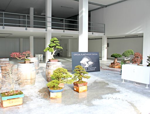 Vorschau Bild von Zertifizierte Quarantänestation mit 900 m2 Fläche
bei Luxurytrees.com, dem ersten offiziellen Bonsai-Importeur in
Österreich.