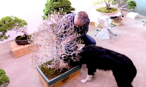 Vorschau Bild von Zu den „Kontrollorganen“ des Ministeriums zählt
unter anderem ein speziell ausgebildeter Spürhund.