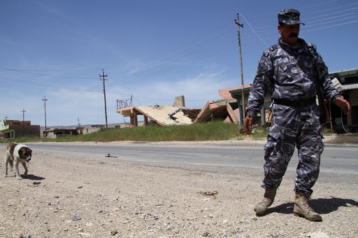 Vorschau Bild von Die Tiere im Irak flüchten genauso vor dem IS