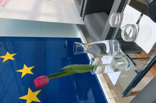 Vorschau Bild von Podiumsdiskussion anläßlich des Internationalen Frauentags im
Haus der Europäischen Union