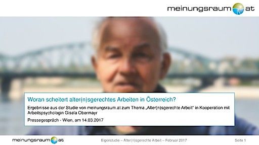 Vorschau Bild von Gesamtstudie meinungsraum.at: "Altersgerechtes Arbeiten"
