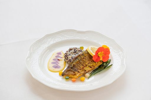 Vorschau Bild von Wildkulturfisch aus heimischen Gewässer oder
Regionale Küche für mehr Vitalität