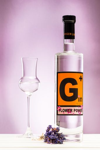 Vorschau Bild von G+-Flower Power, Bester Gin der Veranstaltung und
damit Spirit of the Year