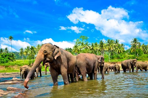  „100 Meter bis zum Strand“ in Sri Lanka