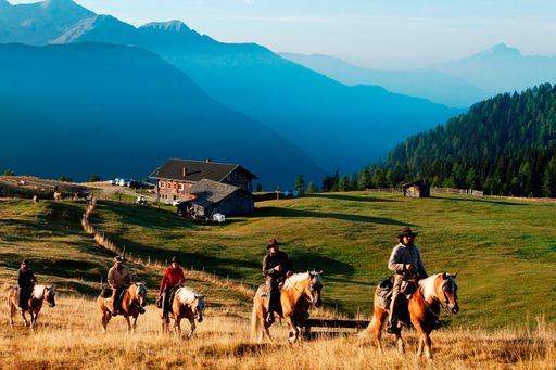 Vorschau Bild von Die Reit-Eldorados galoppieren in die Zukunft!