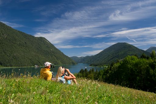 Vorschau Bild von Panoramawandern im Naturpark Weissensee