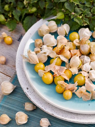 Vorschau Bild von Die Freche Fritzi reift bereits im Juni