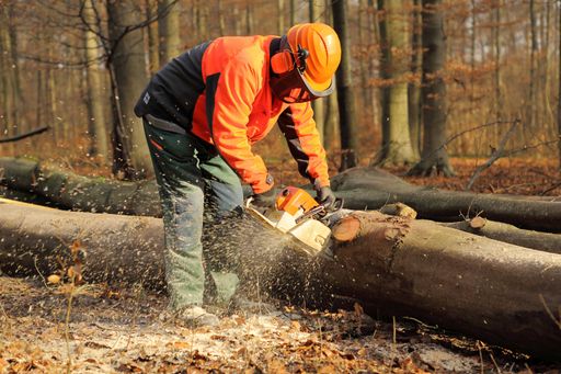  Lärmbelastung am Arbeitsplatz ***Die Nutzung des
Bildes für redaktionelle Zwecke ist kostenlos. Weitergehende Nutzung
bedarf der Zustimmung des Aussenders***
