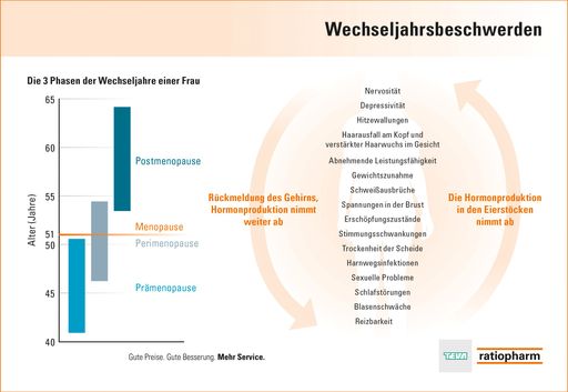 Vorschau Bild von Wechseljahre – welche Phasen gibt es? (Grafik nur
für Fachmedien)