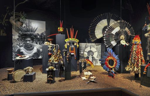  Federschmuck der Amazonasindianer