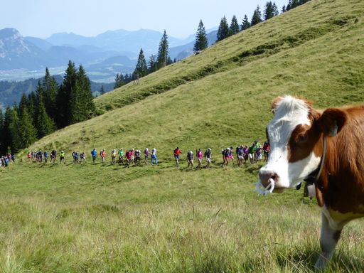 Am 15. Juli um 9 Uhr fällt in der Wildschönau der
Startschuss für die „kitzalp24 – Das Original“.