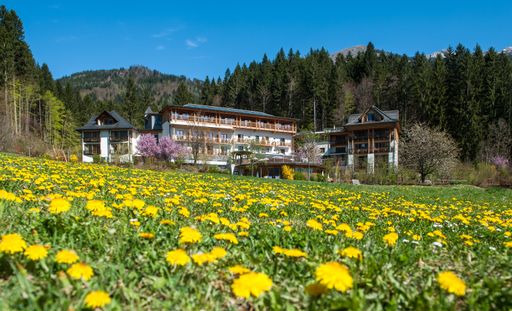  "der daberer. das biohotel" - 3 Mio. Euro wurden zwischen Mitte
März und Anfang Juni 2017 in Wellness- & Restaurant-Neuigkeiten
investiert