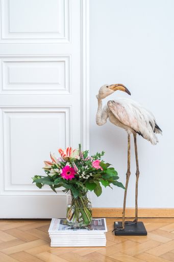  Rosalies Blumen