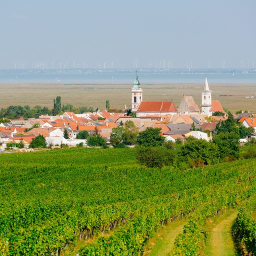 Vorschau Bild von Rust am Neusiedler See