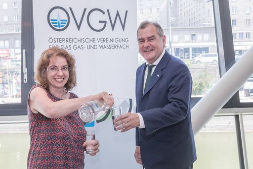 https://www.apa-fotoservice.at/galerie/9595
Dipl.-Ing. Franz Dinhobl (ÖVGW-Vize-Präsident und Sprecher des
Wasserfachs) und Mag. Gabriele Hoffmann (Geschäftsführerin Hoffmann
& Forcher Marketing Research)