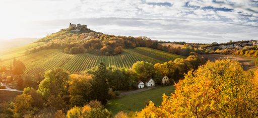  Der 22. Weinherbst Niederösterreich