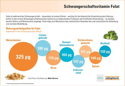 Vorschau Bild von Folat - nicht nur für Schwangere lebenswichtig
(Grafik für Fachmedien)